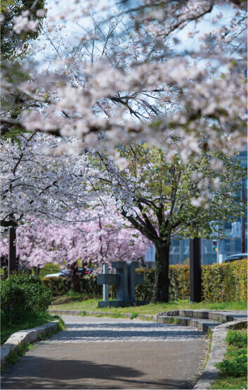 茨木市の魅力が結集する中枢に住まう価値。