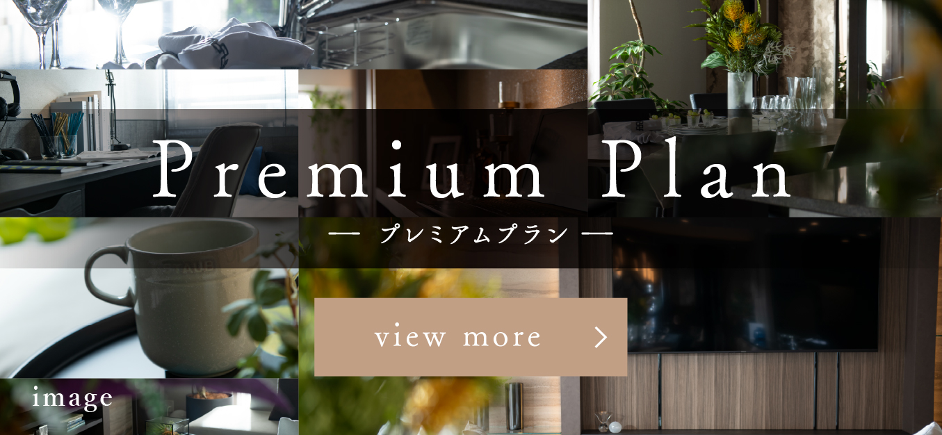 Premium Plan