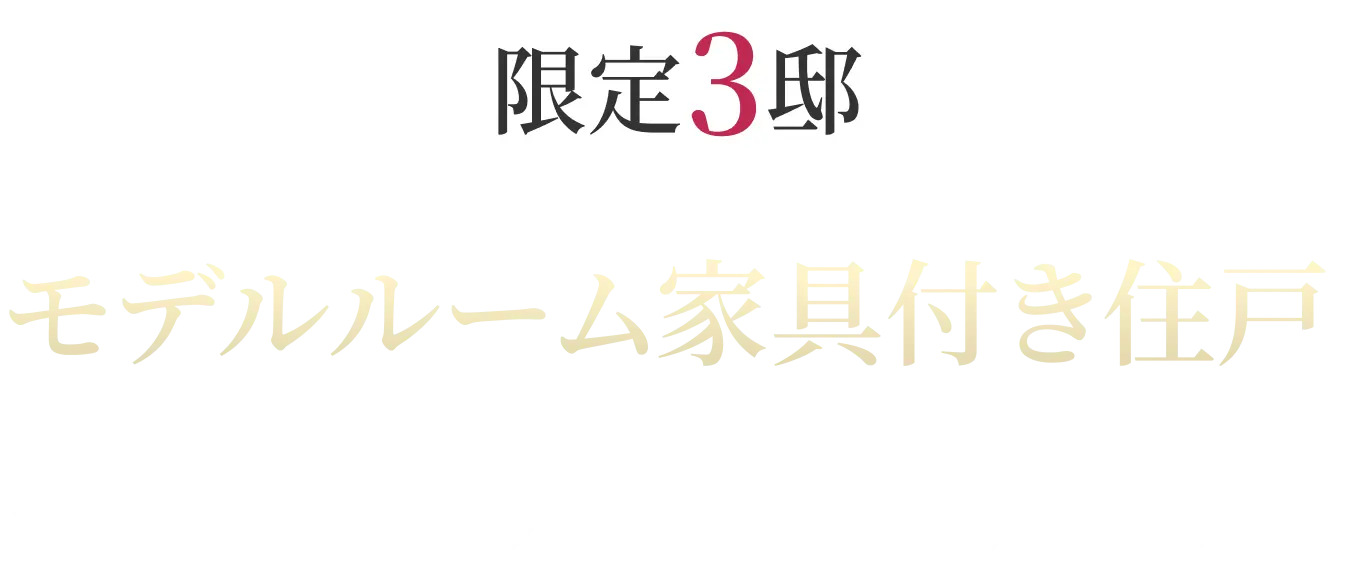 限定3邸モデルルーム家具付き住戸特別分譲開始