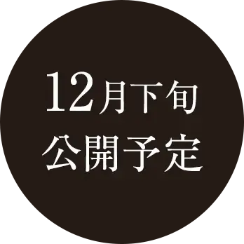 12月下旬 公開予定